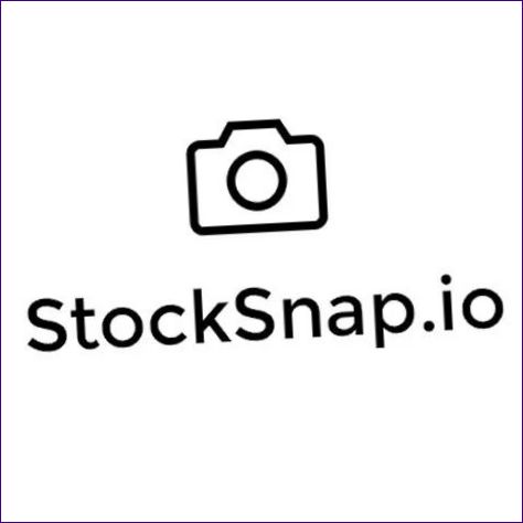 StockSnap