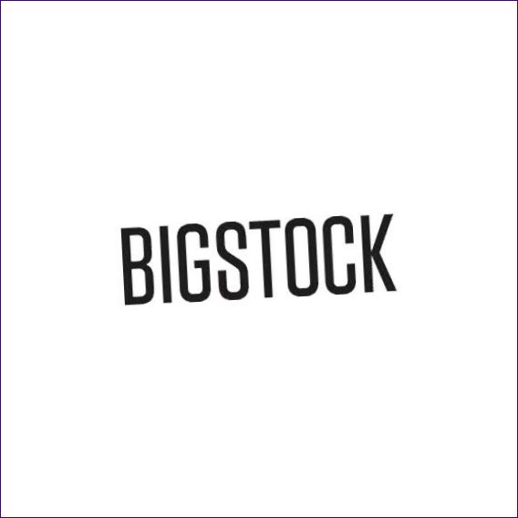 Bigstock