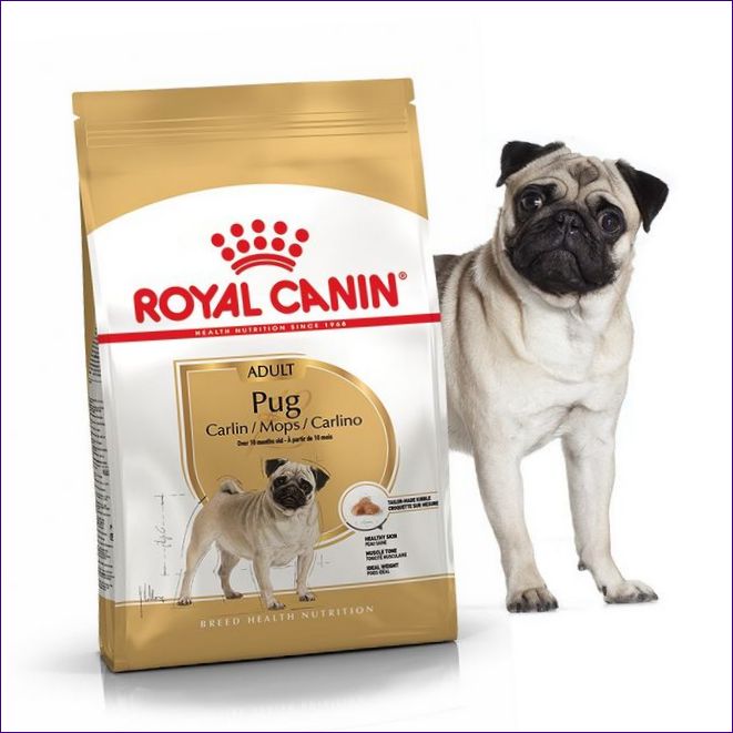 ROYAL CANIN DOG FOOD MOPS VOOR EEN GEZONDE HUID EN WALF.jpg