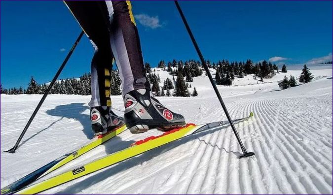 Selectiecriteria voor langlaufski's