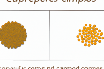 Vergelijking van complexe en enkelvoudige koolhydraten | Belangrijke verschillen